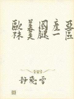 欧美国产亚洲丝袜美腿一区封面