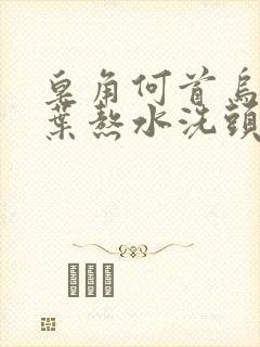 皂角何首乌侧柏叶熬水洗头的功效