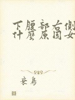 下腹部右侧疼是什么原因女性