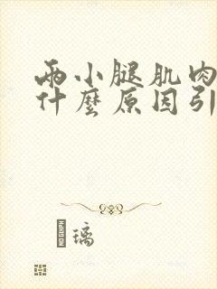 两小腿肌肉酸痛什么原因引起的