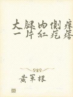 大腿内侧痒挠完一片红疙瘩