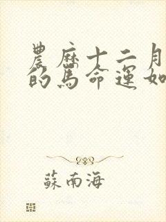 农历十二月出生的马命运如何