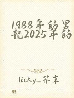 1988年的男龙2025年的运势会怎么样