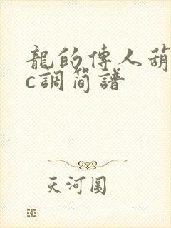 龙的传人葫芦丝c调简谱