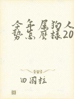 今年属狗人的运势怎么样2025