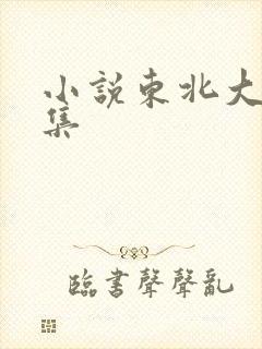 小说东北大炕全集