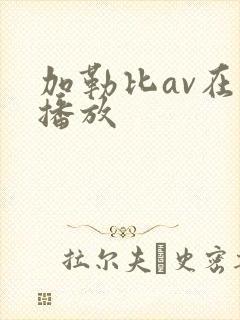 加勒比av在线播放