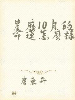 农历10月的虎命运怎么样