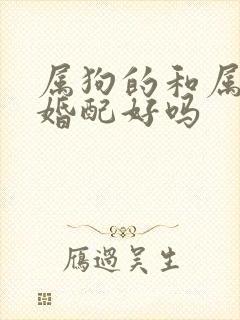 属狗的和属龙的婚配好吗