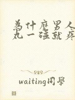 为什么男人的睾丸一碰就疼