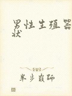 男性生殖器乳头状