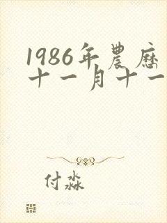 1986年农历十一月十一出生的人命运如何