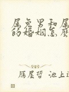 属兔男和属龙女的婚姻怎么样封面