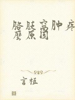 胳肢窝肿疼是什么原因