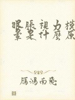 眼胀视力模糊头晕是什么原因