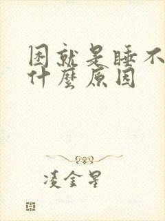 困就是睡不着是什么原因