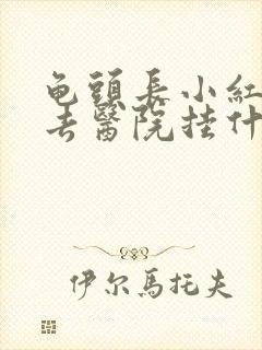 龟头长小红疙瘩去医院挂什么科