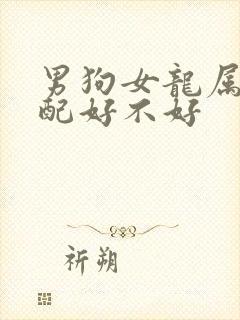 男狗女龙属相婚配好不好