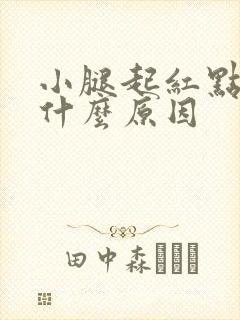 小腿起红点痒是什么原因