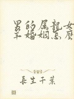 男的属龙女的属羊婚姻怎么样