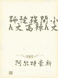 师徒强开小嫩苞h文高辣h文