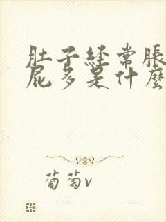 肚子经常胀气放屁多是什么原因