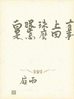 白眼珠上有黄斑是怎么回事