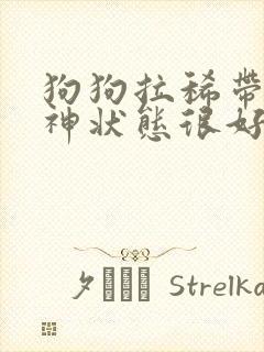 狗狗拉稀带血精神状态很好