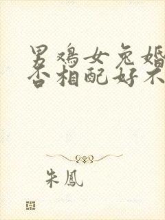 男鸡女兔婚姻是否相配好不好封面