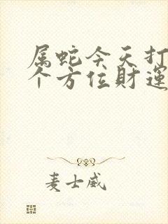 属蛇今天打牌哪个方位财运好呢?