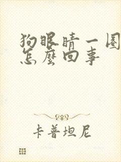 狗眼睛一圈红是怎么回事