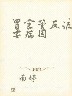 胃食管反流的主要病因封面