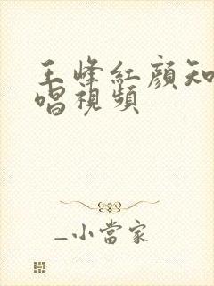 王峰红颜知己原唱视频