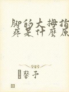 脚的大拇指关节疼是什么原因引起的