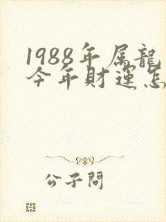 1988年属龙今年财运怎么样