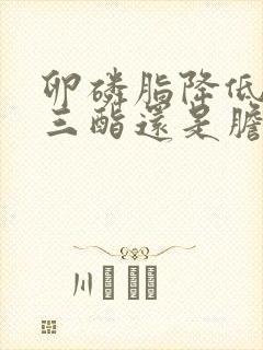 卵磷脂降低甘油三酯还是胆固醇