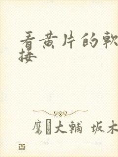 看黄片的软件链接