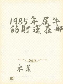 1985年属牛的财运在哪个方向