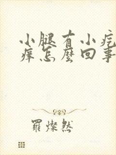 小腿有小疙瘩还痒怎么回事封面