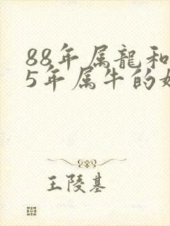 88年属龙和85年属牛的婚配封面