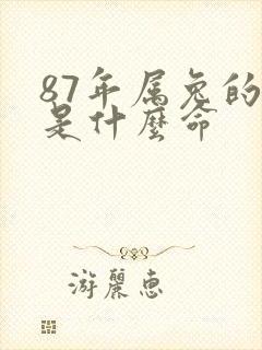 87年属兔的人是什么命