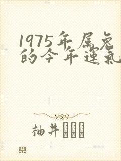 1975年属兔的今年运气如何