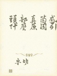 头部真菌感染是什么原因引起的