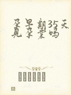 孕早期35天能见孕囊吗封面