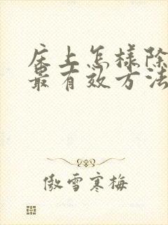 床上怎样除螨虫最有效方法