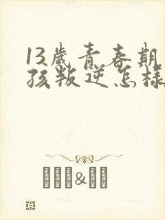 13岁青春期男孩叛逆怎样引导