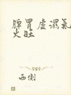 脾胃虚湿气重肝火旺