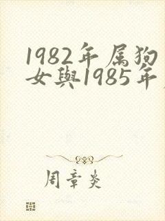 1982年属狗女与1985年属牛男婚配