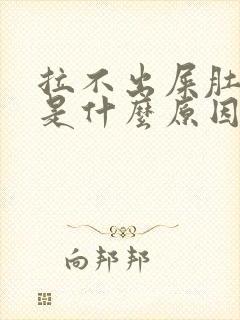 拉不出屎肚子疼是什么原因封面