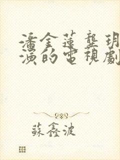 潘金莲龚玥菲主演的电视剧在线观看